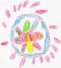 Logo concept art - Jaylens Challenge Foundation, Inc Logo concept art - Jaylens Challenge Foundation, Inc